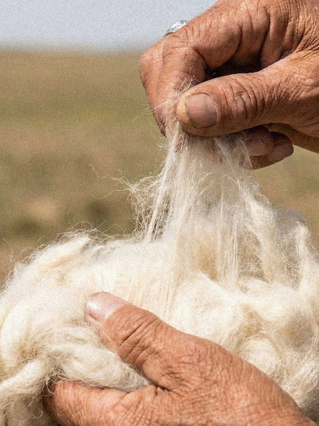 Hands pulling thin fibres of wool